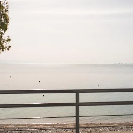 Loggos * Λόγγος