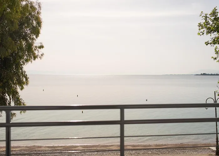 Loggos * Лонгос