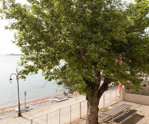 Апартаменты Loggos